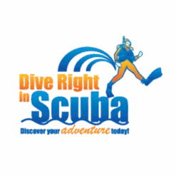 Versa BCD Combo System 2 10 Versa BCD Combo System 2 -Aqua Lung Diving Shop base img 4