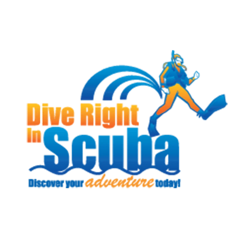 Versa BCD Combo System 2 6 Versa BCD Combo System 2 - Image 4