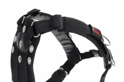 Transpac XT -Aqua Lung Diving Shop new transpac 2